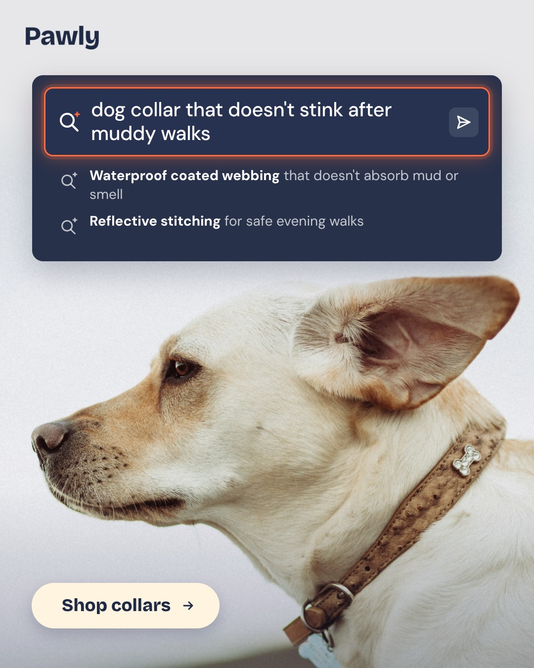 Pawly – ar kreatyvai izveidota reklāma